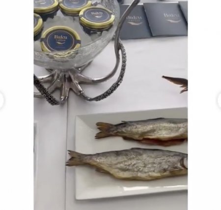 Birinci vitse-prezident Mehriban Əliyeva Neftçaladan paylaşım edib 