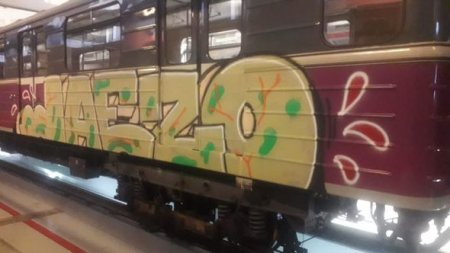 Bakıda metroya gizli soxulan Fransa vətəndaşı həbs edildi Bakıda metroya gizli soxulan Fransa vətəndaşı həbs edildi