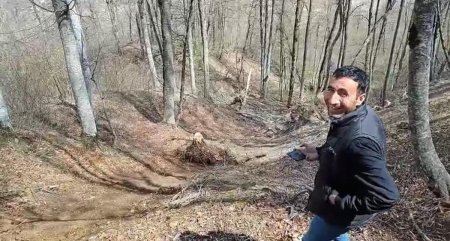 Şahdağ Milli Parkında meşə heyvanları öldürülür